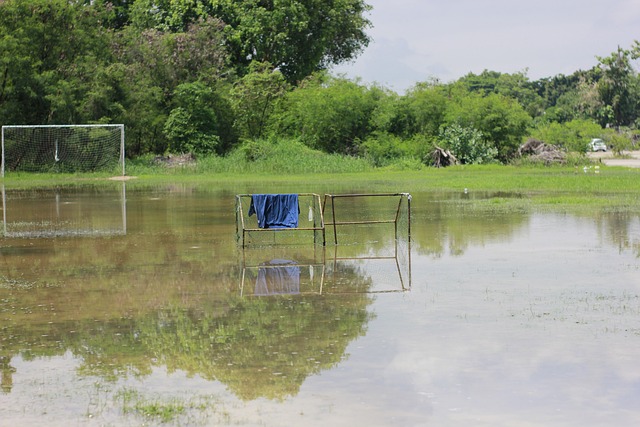 库拉索主帅：我们对德国很了解，但对科特迪瓦、厄瓜多尔不熟